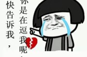 探歌最严重缺点