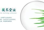 新能源生物质颗粒环保取暖炉