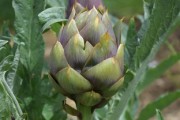 股票002025，投资的明日之星，还是昙花一现？