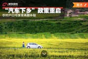 新能源车库存车