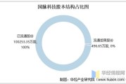 国脉科技业绩