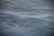马航MH370，新一轮搜索工作的重启——希望之光在茫茫大海中再次闪耀