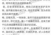 新能源话题作文