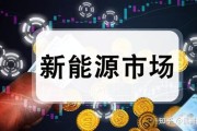 湖南新能源公司