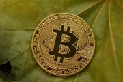 物联网龙头股，投资未来科技的黄金钥匙