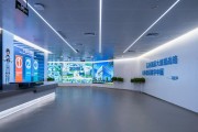 重庆市大数据局罗主任