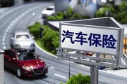 比亚迪公司购买的保险