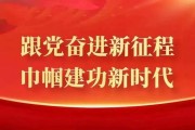 石城新能源专卖店情况调查及建议