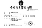 中南新能源公司简介资料
