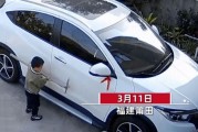 新能汽车龙头