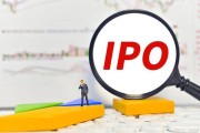 华新能源IPO：价值分析与投资建议