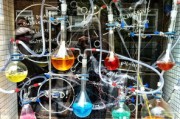 菌种保藏方法全解析，科学保存微生物的秘诀