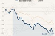 嘉实港股优势混合基金配售比例
