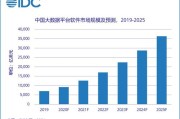 大数据的数据规模