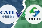 塔菲儿新能源科技
