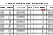 新能源指标21万以下