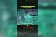 成都修地铁发现古墓，专家挖开后，出土的九部医书，轰动了医学界