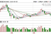 中新科技集团股份有限公司
