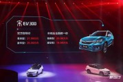 新能源涨价买什么车好