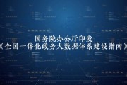 政务大数据：解析与应用