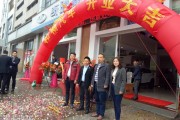 惠州新能源车维修