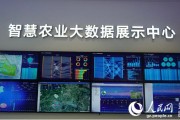 长沙数字化平台