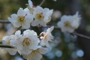 腾讯元宝，脸上写的是，心里藏的是
