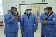 耀宁新能源集团董事长简介