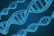 乙炔雌二醇，从化学合成到现代医学应用的全面解析