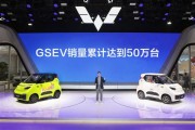 五菱新能源车能用几年吗