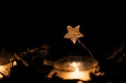 动画图片格式全解析，从GIF到WebP，带你了解动态图像的秘密