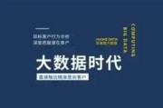 山东大数据获客