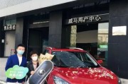 武汉新能源汽车销售市场分析与发展建议