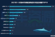 新能源保障利用小时