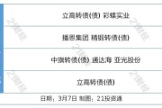 新能源公司工作总结与计划