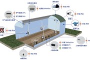 玻璃智能温室大棚造价