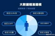 大数据精准营销论文