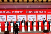 政府招商新能源产业