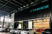 深圳莲花新能源市场概述