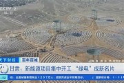 枣阳续航新能源