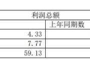 华能国际新能源净利润分析