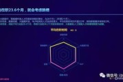 大数据发展与知识产权