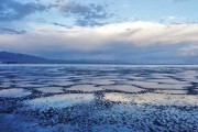 青海锦泰新能源盐湖销售