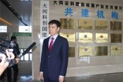 新能源发展现状与挑战