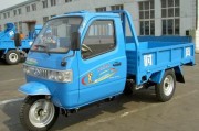 时尚三轮电动车