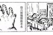 新能源评说小燕子