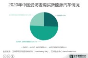 新能源市场调查课程