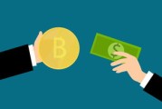 中银策略基金净值，投资智慧的财富指南