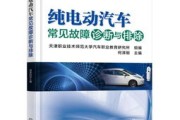 新能源汽车市场策略