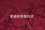 怎样修复大数据